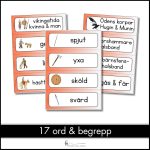 Bildstöd Vikingatiden – ord & begrepp - bild 2