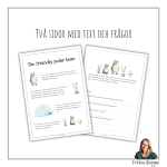 The friendly polar bear - bild 2