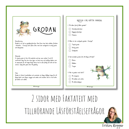 Faktatext om Grodan
