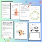 Stort häfte i NO: Om kroppen! - bild 2