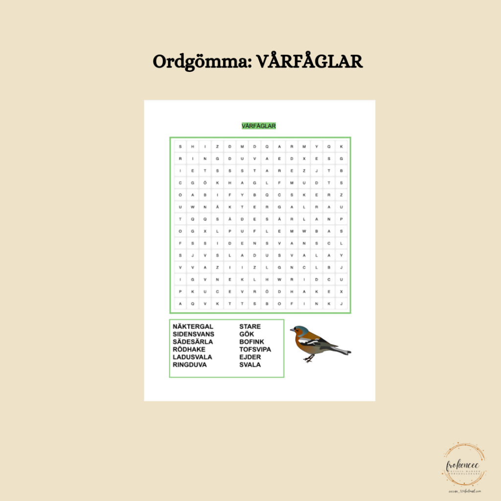 Ordgömma: Vårfåglar
