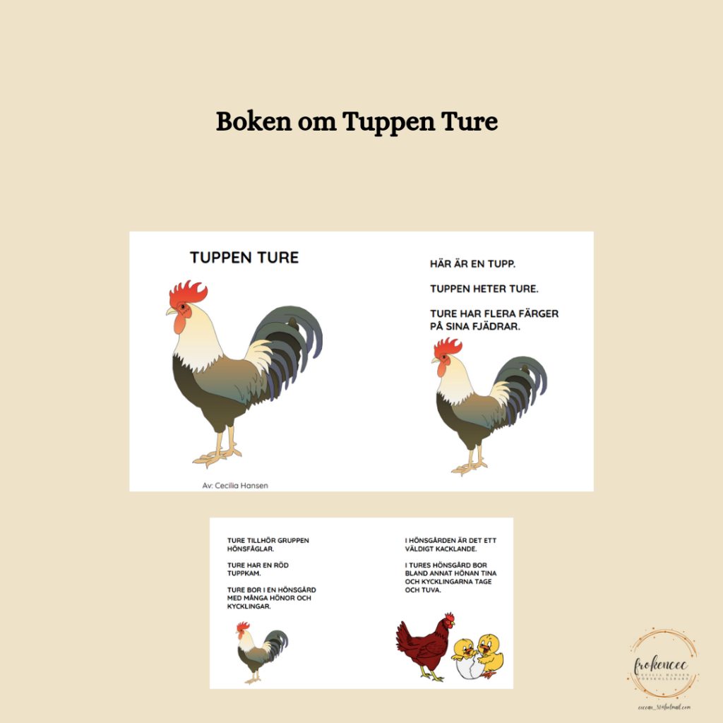 Boken om Tuppen Ture