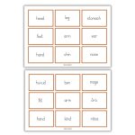 Practice spelling – body - bild 4