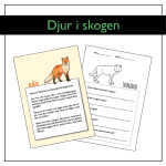 Djur i skogen: Fakta- och arbetspapper - bild 1