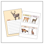 Djur i skogen: Fakta- och arbetspapper - bild 3