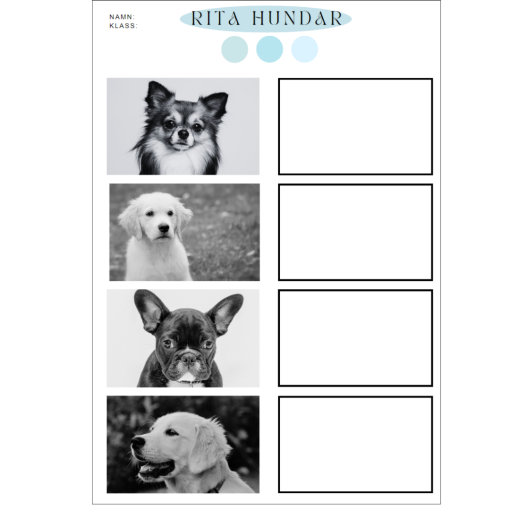 Rita djur - katter, hundar & hästar