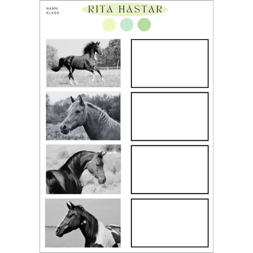Rita djur - katter, hundar & hästar