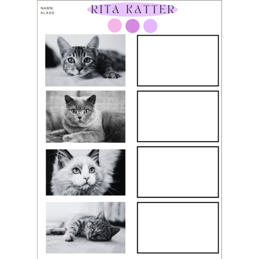 Rita djur - katter, hundar & hästar