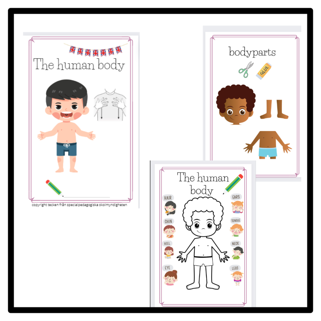 Engelska/Kommunikation Body parts
