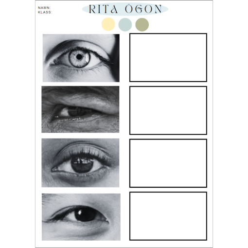 Rita - Ögon, näsa & mun