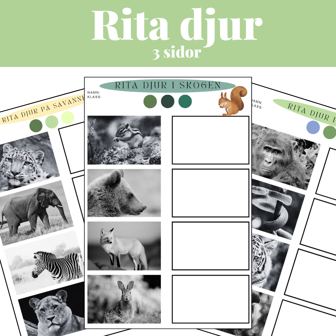 Rita djur på savannen, djungeln & i skogen.