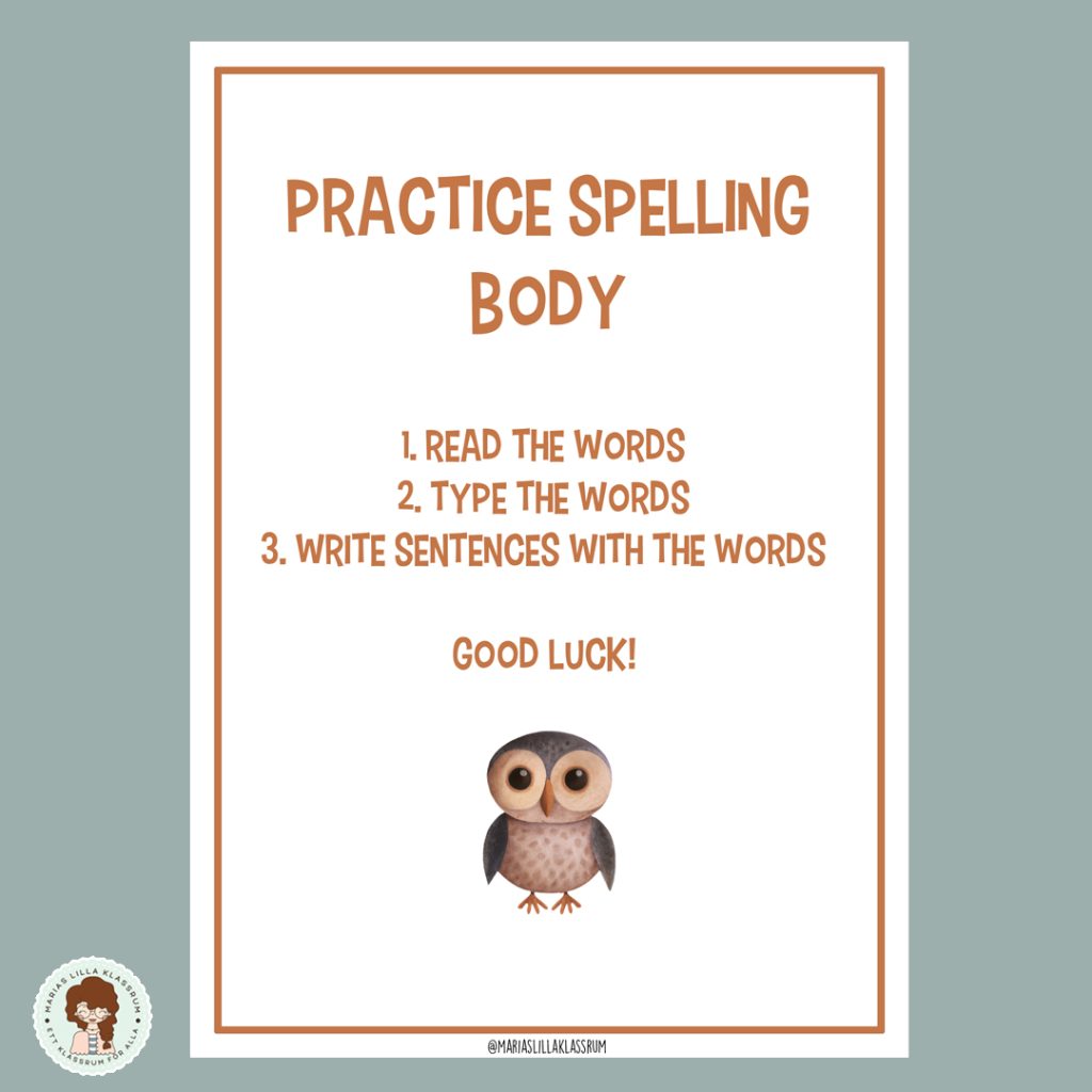 Practice spelling – body