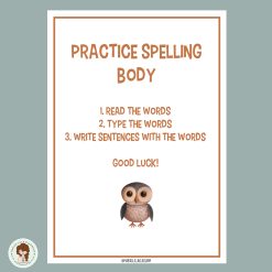 Practice spelling - body