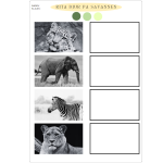 Rita djur – Paket - bild 7