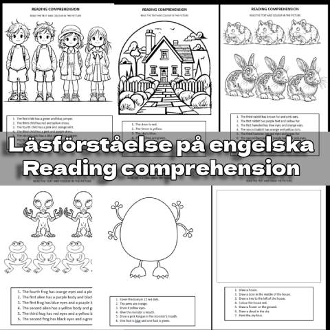Läsförståelse - engelska
