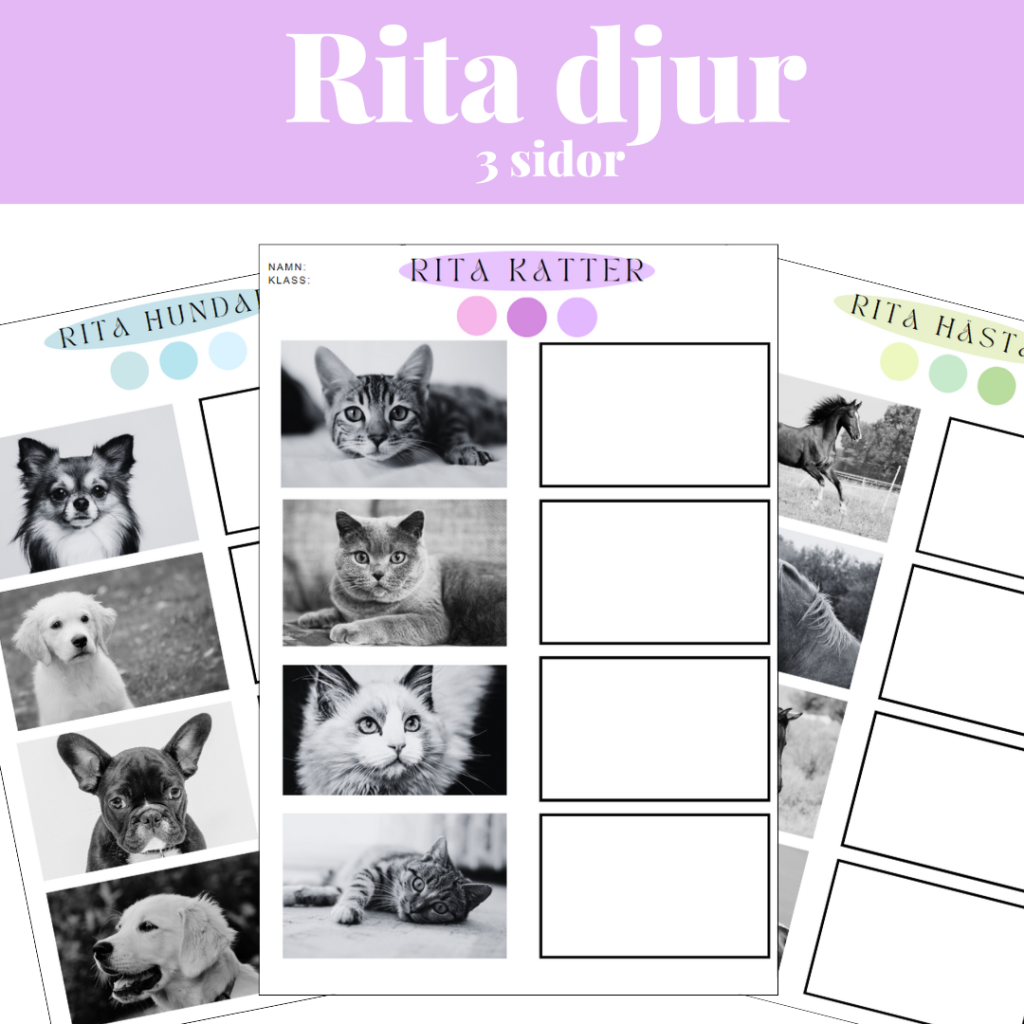Rita djur – katter, hundar & hästar