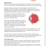 Ögat och synen - bild 2