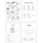 Kroppens organ: Arbetshäfte - bild 2