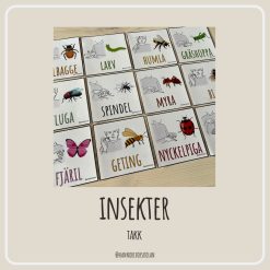 TAKK insekter