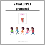 Vasaloppet-paket - bild 2