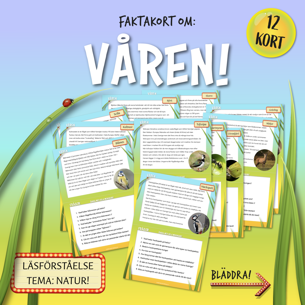 Faktakort: Läsförståelse om Våren!