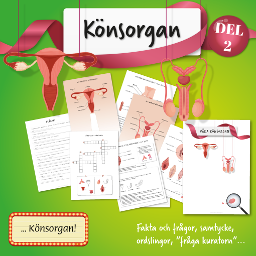 Arbetshäfte: Våra inre organ & könsorgan!