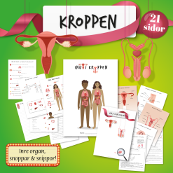 Arbetshäfte: Våra inre organ & könsorgan!