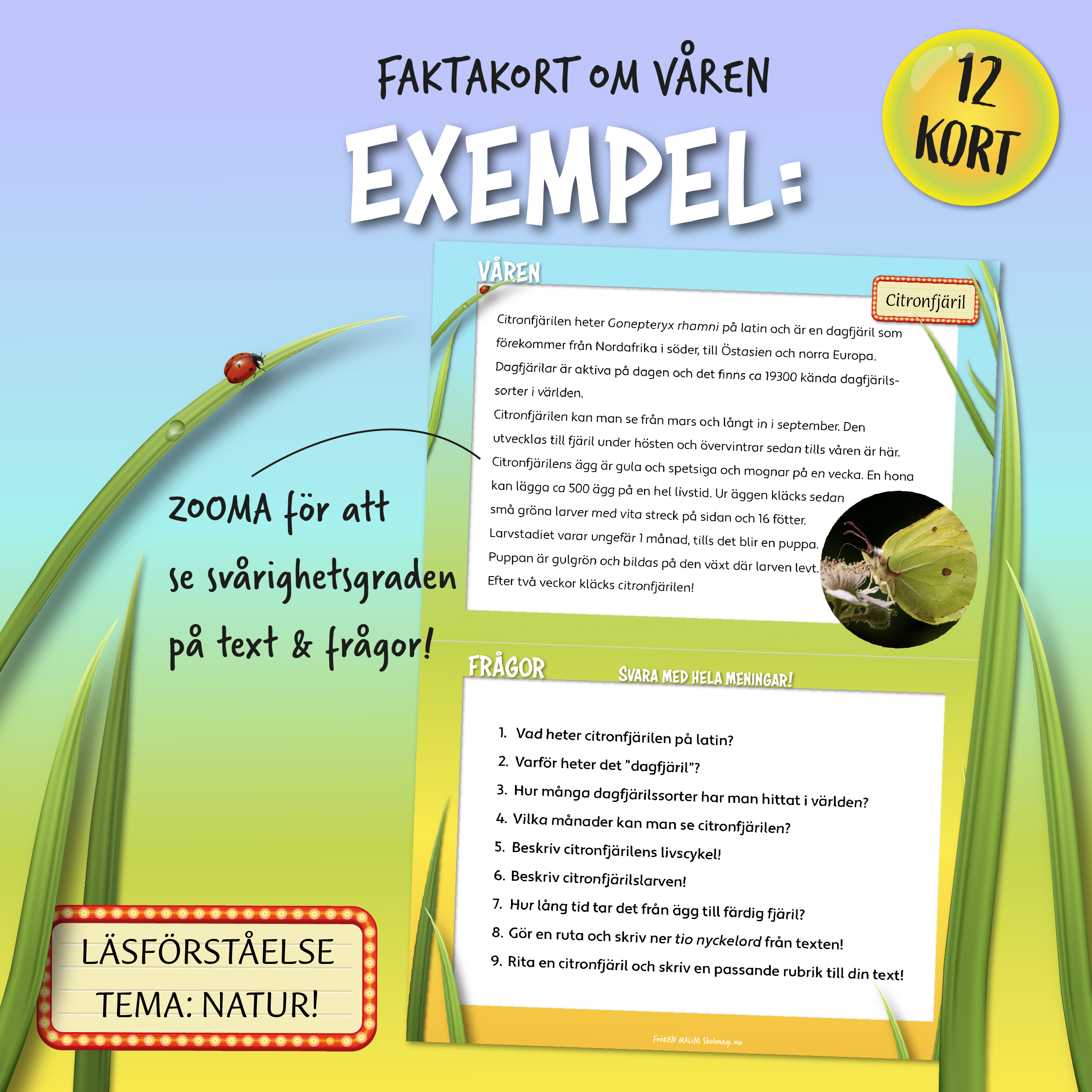 Faktakort: Läsförståelse om Våren!