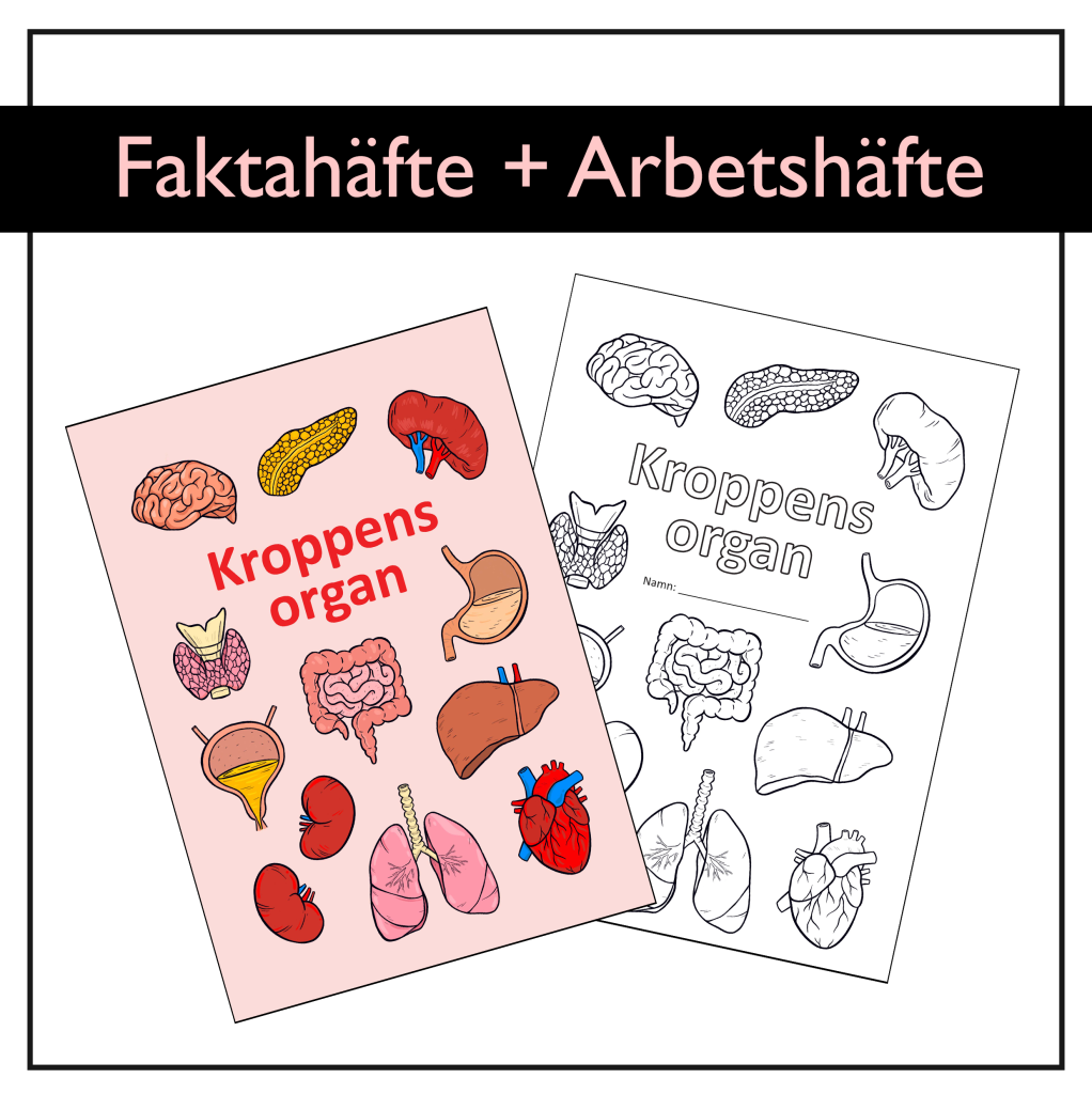 Kroppens organ: Fakta- och arbetshäfte