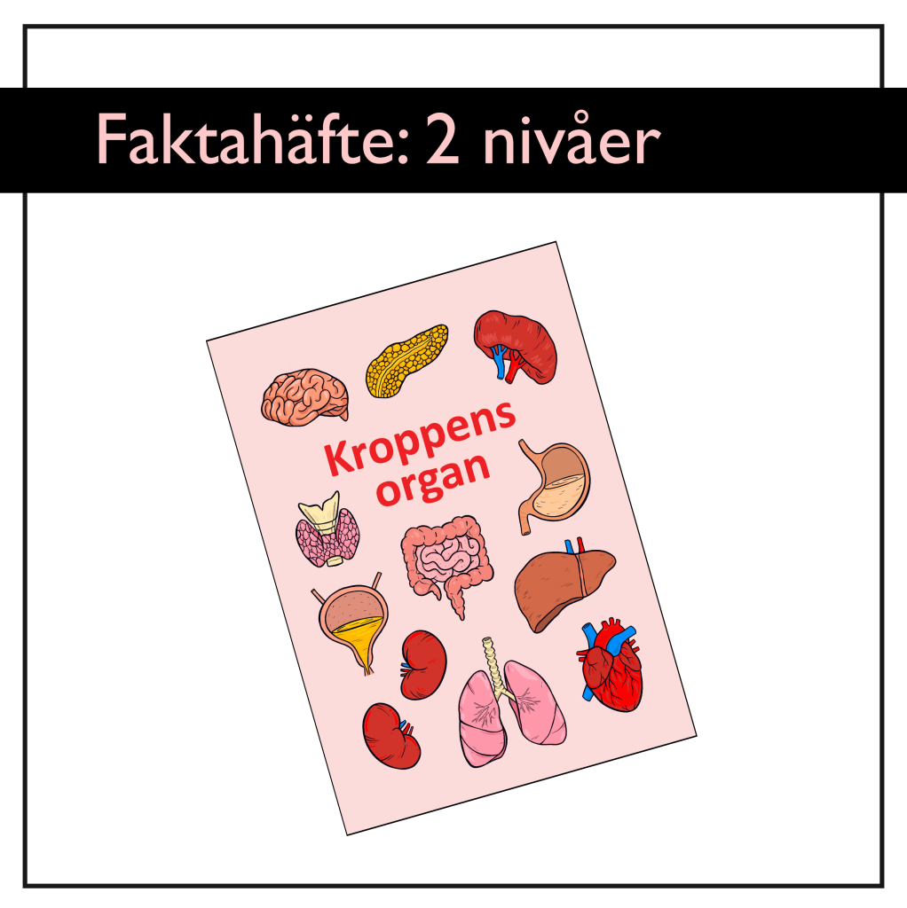 Kroppens organ: Faktahäfte