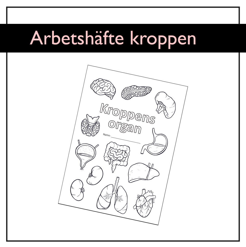 Kroppens organ: Arbetshäfte