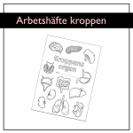 Kroppens organ: Arbetshäfte - bild 1