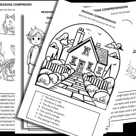 Läsförståelse - engelska