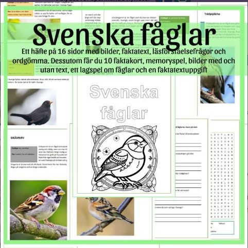 Svenska fåglar - storpaket