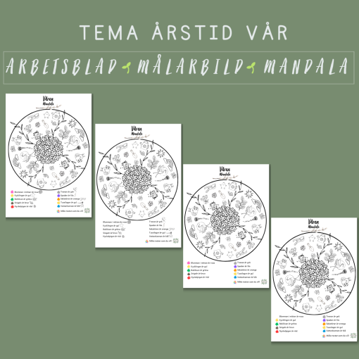 Mandala Vår fyra nivåer
