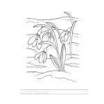 Vårblommor. Målarbilder - bild 2