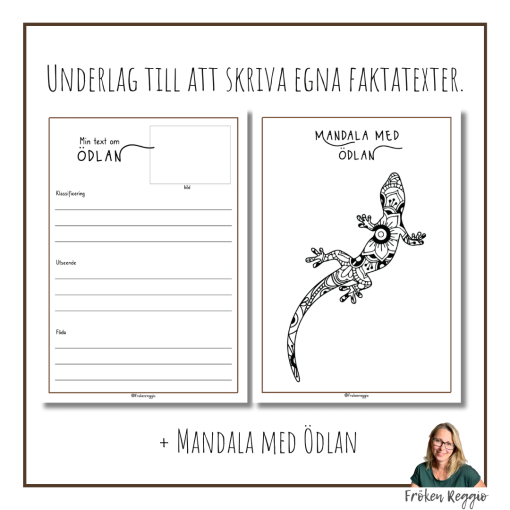 Faktatext om Ödlan