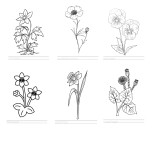 Vårblommor. Målarbilder - bild 3