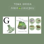 Tema Groda Fakta Livscykel - bild 1