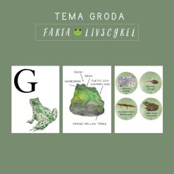 Tema Groda Fakta Livscykel