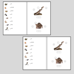 Husdjur. Läs-och skrivträning - bild 2