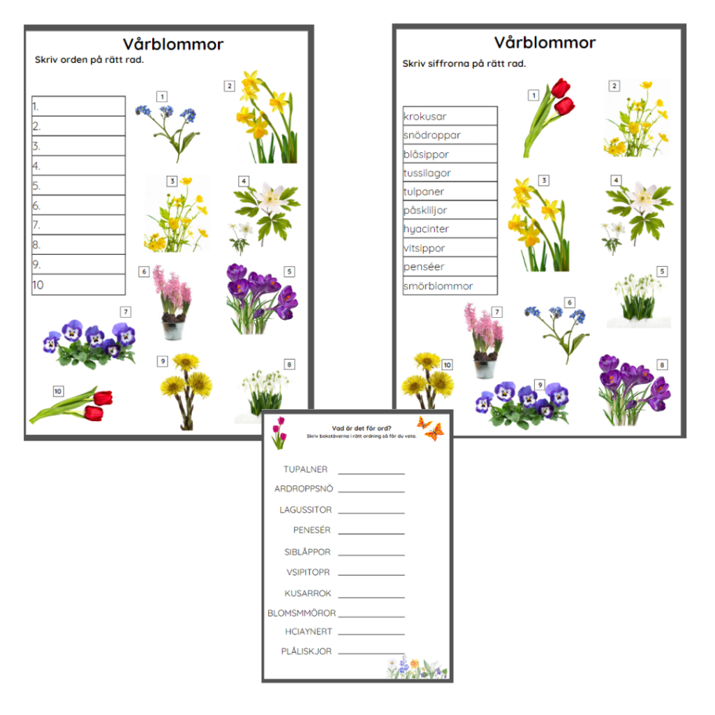 Ordbank. Vårblommor