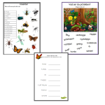 Ordbank. Insekter - bild 1