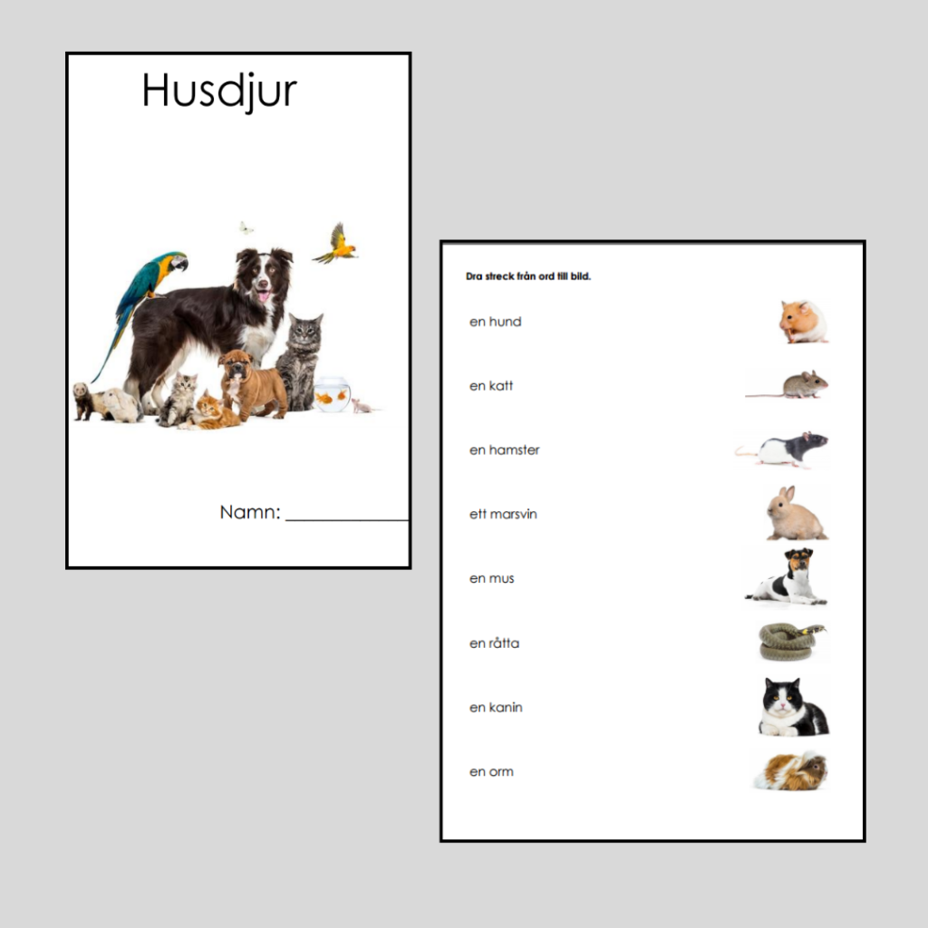 Husdjur. Läs-och skrivträning
