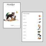 Husdjur. Läs-och skrivträning - bild 1