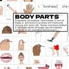 Body parts - 72 kort med engelska ord om kroppens delar
