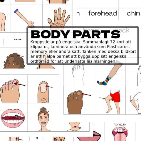 Body parts – 72 kort med engelska ord om kroppens delar