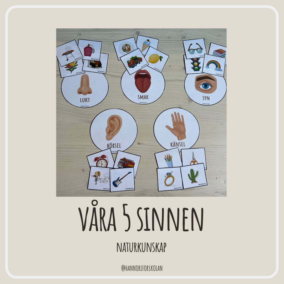 Våra 5 sinnen