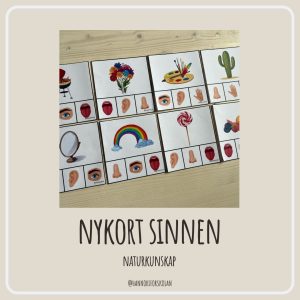 Nypkort sinnen