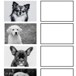 Rita djur – Paket - bild 3